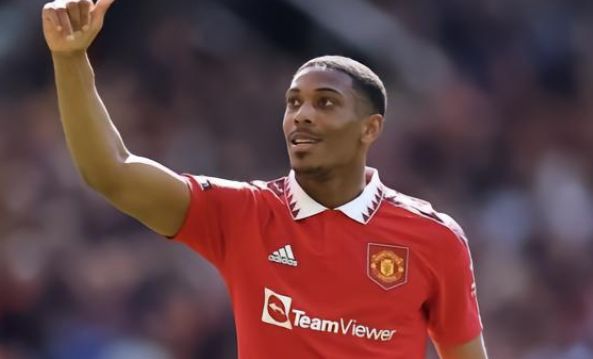 仅令球迷欢 仅令球迷欢