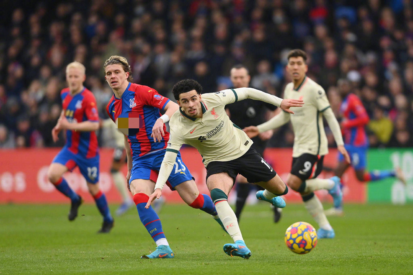 家射手罗伯 家射手罗伯